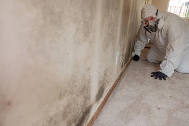 Mold Remediation for Rental Properties in Nambe, NM