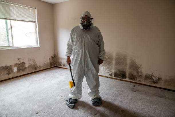 Mold Documentation for Insurance Claims