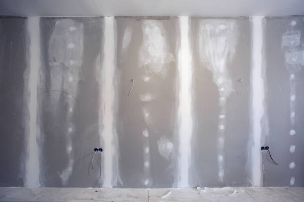 Best Attic Mold Removal  in Nambe, NM